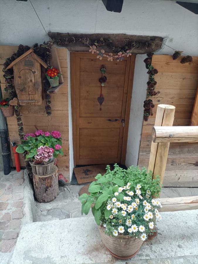 Maison Du Mont Aosta Exterior photo
